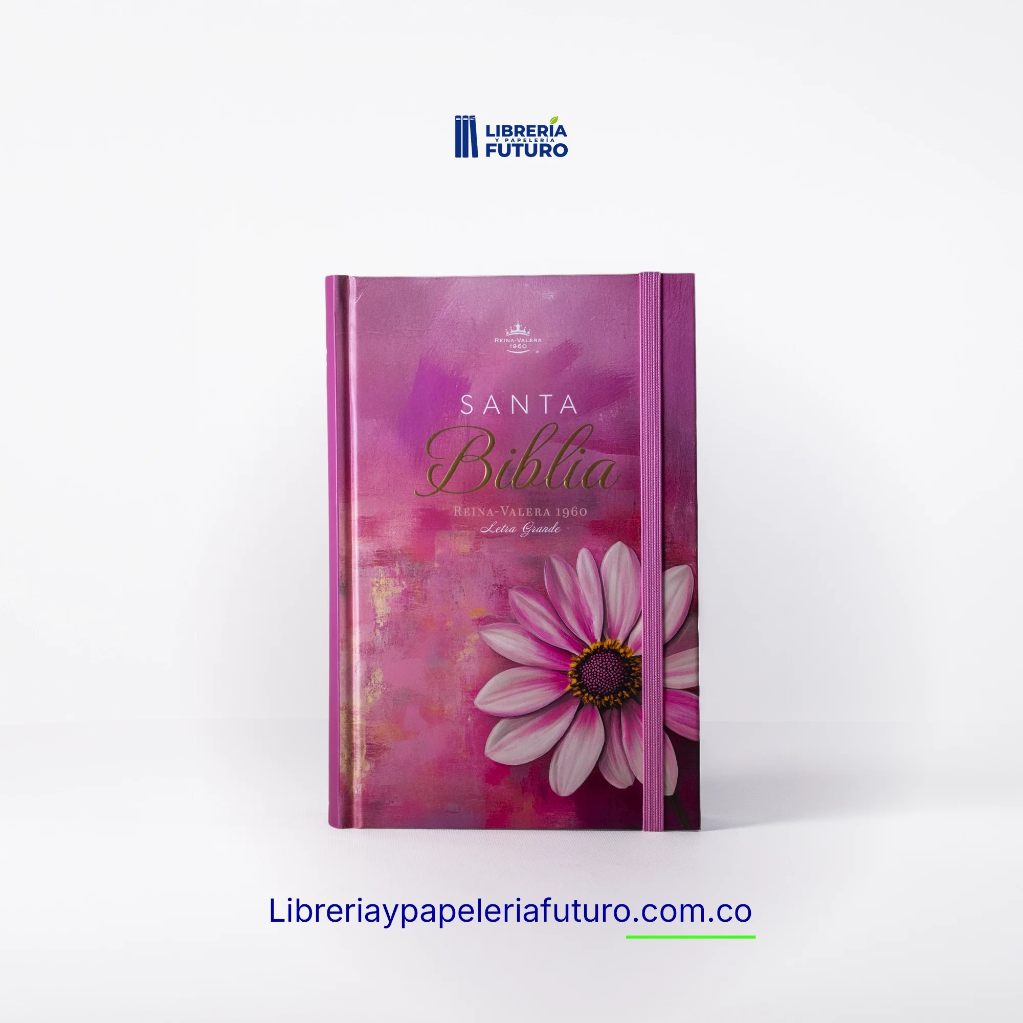 Colección Primavera 2026