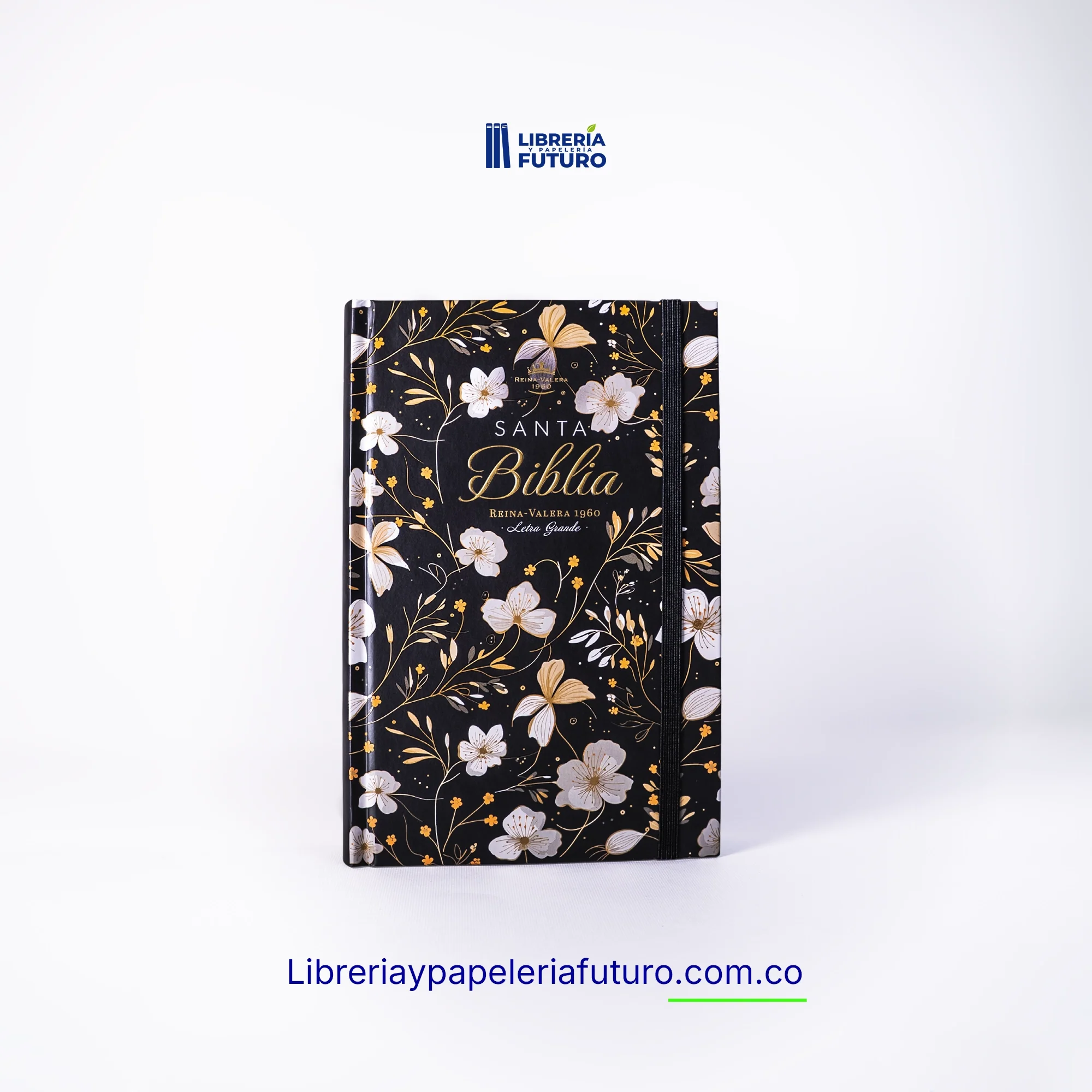 Biblia mediana negra primavera