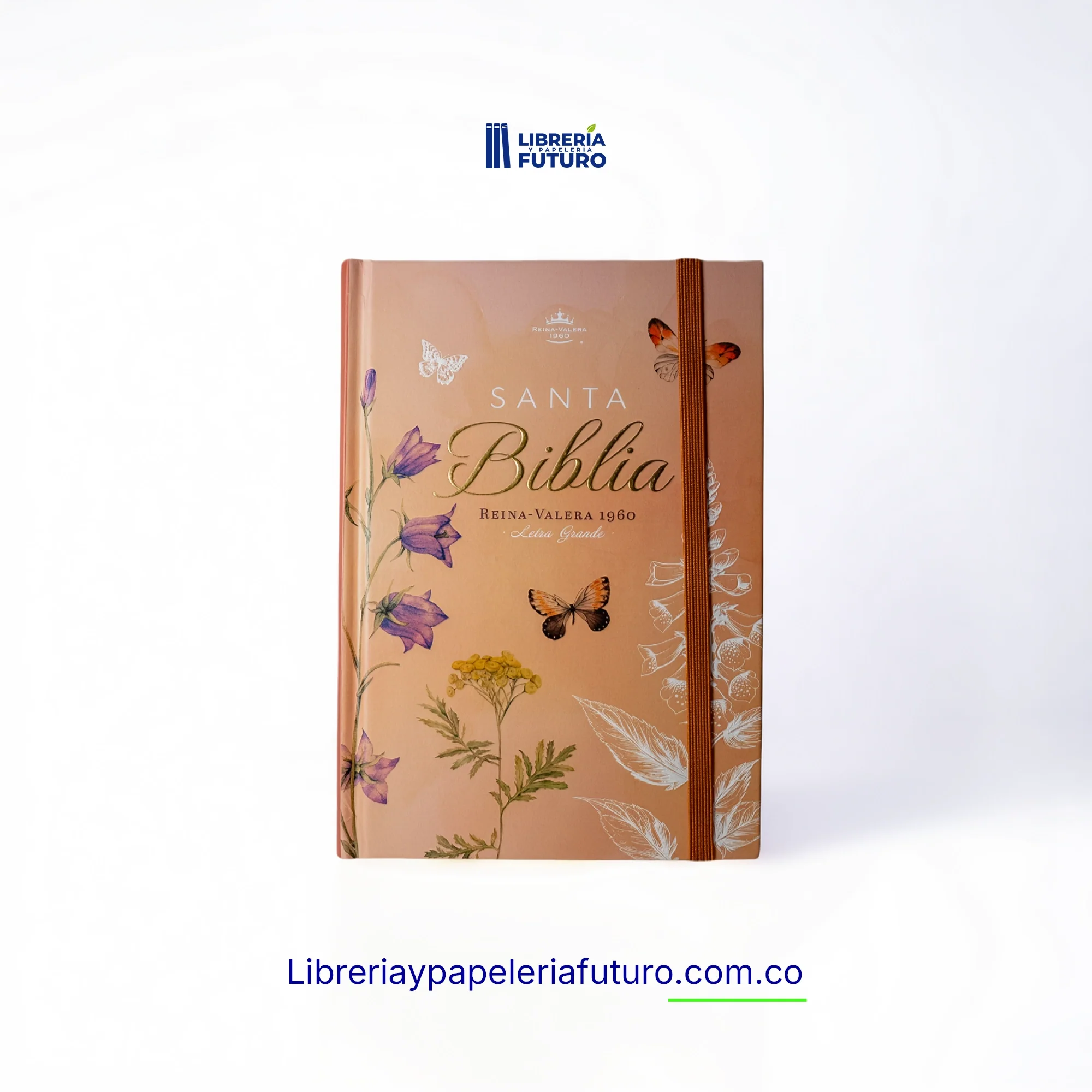 Biblia mediana