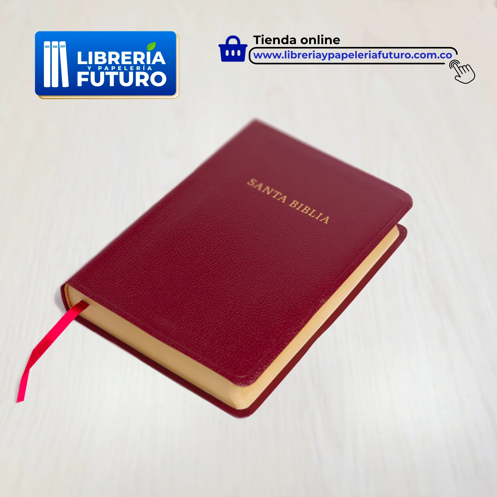 Biblia mediana con letra grande Holman borgoña - Image 3
