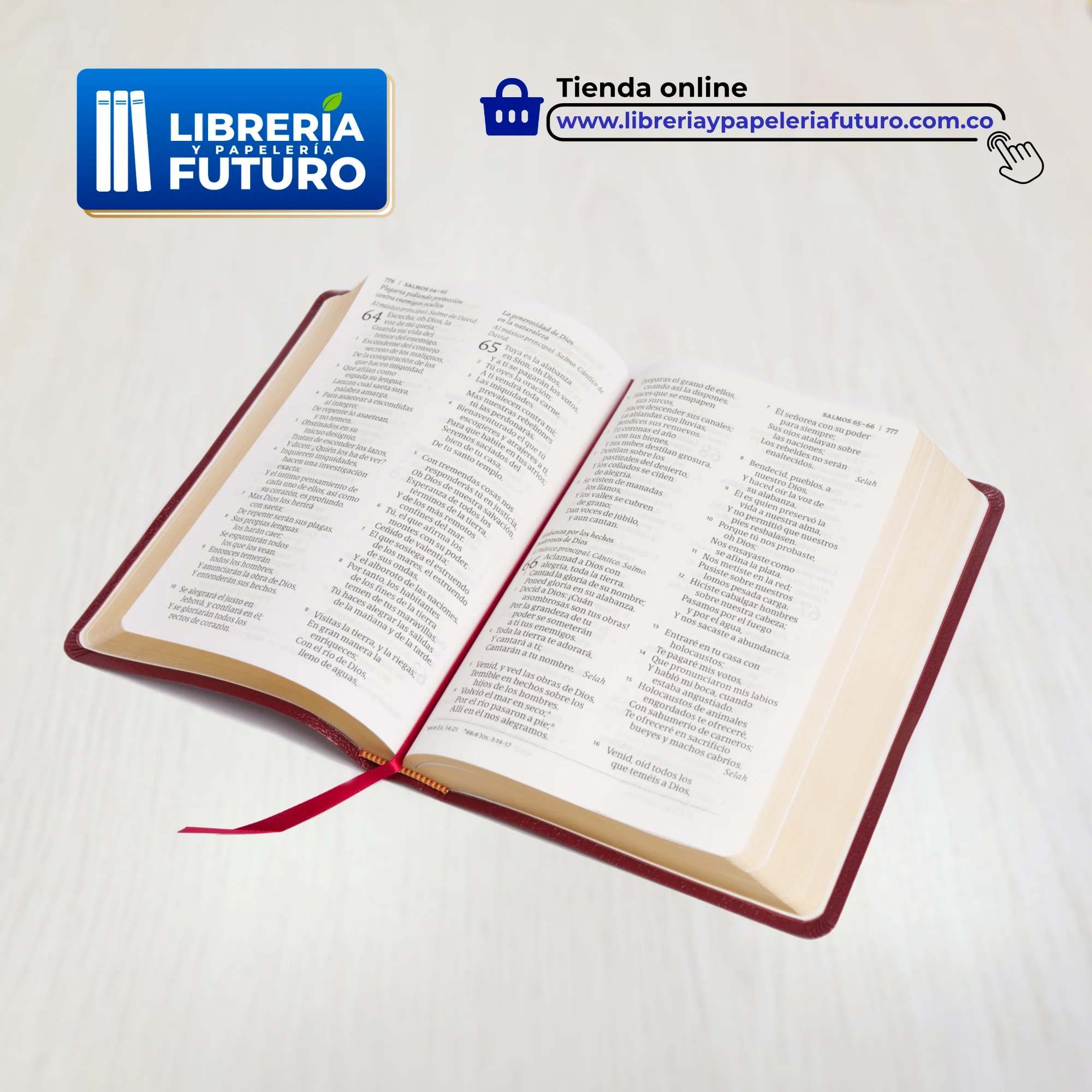 Biblia mediana con letra grande Holman borgoña - Image 4