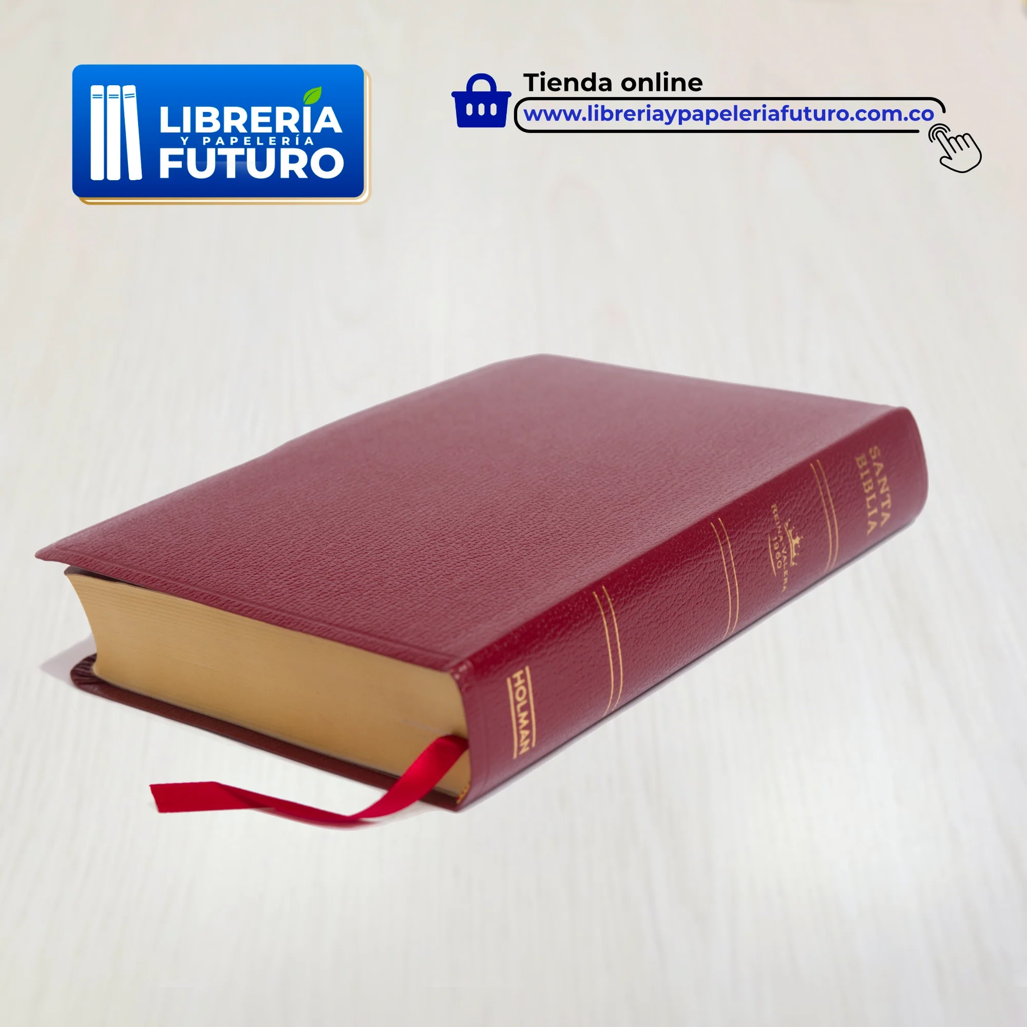 Biblia mediana con letra grande Holman borgoña - Image 5