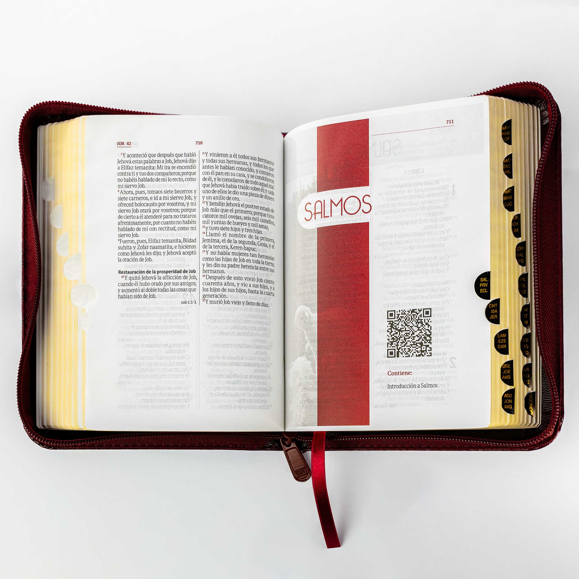 Biblia tamaño y letra pequeña vinotinto - Image 2