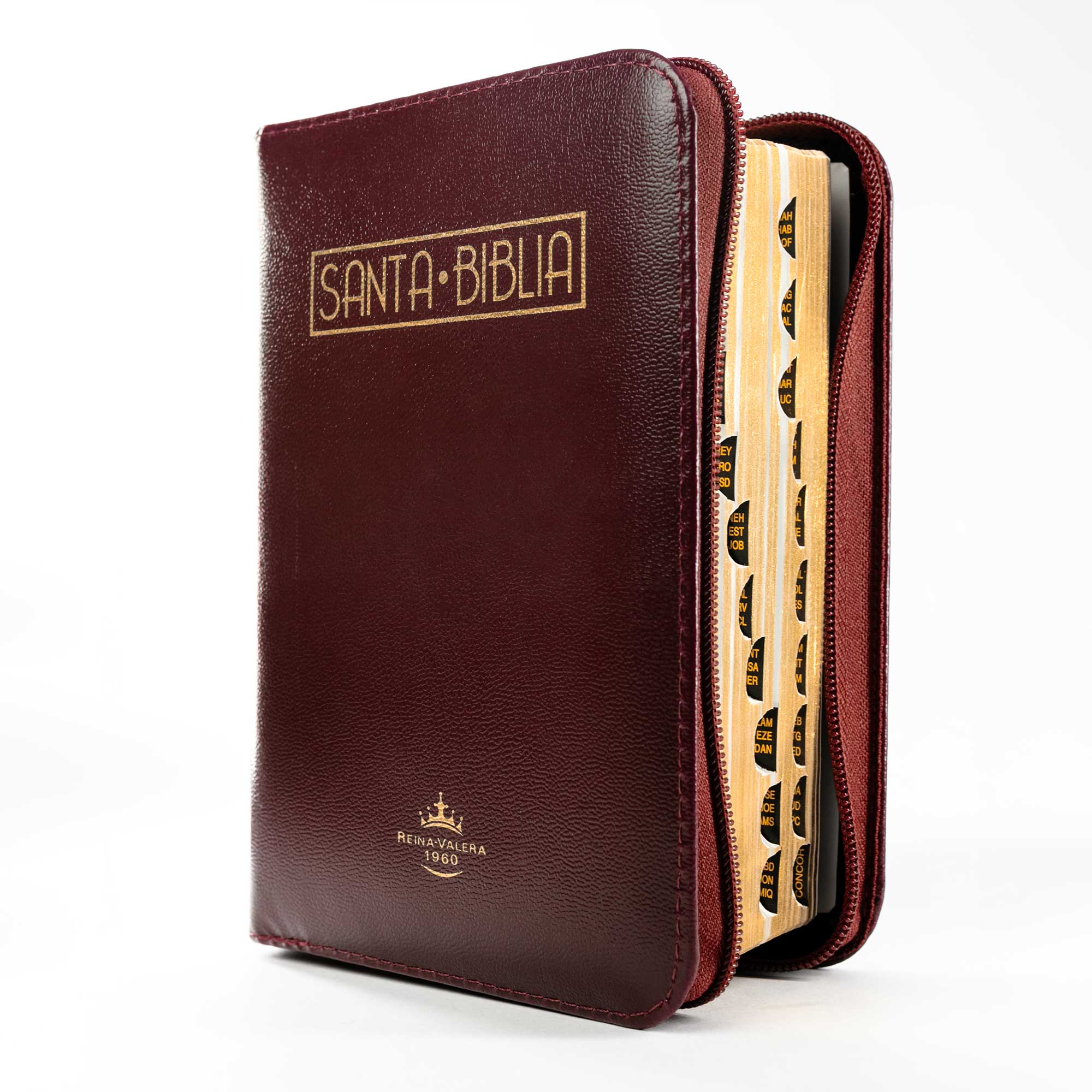 Biblia tamaño y letra pequeña vinotinto - Image 4
