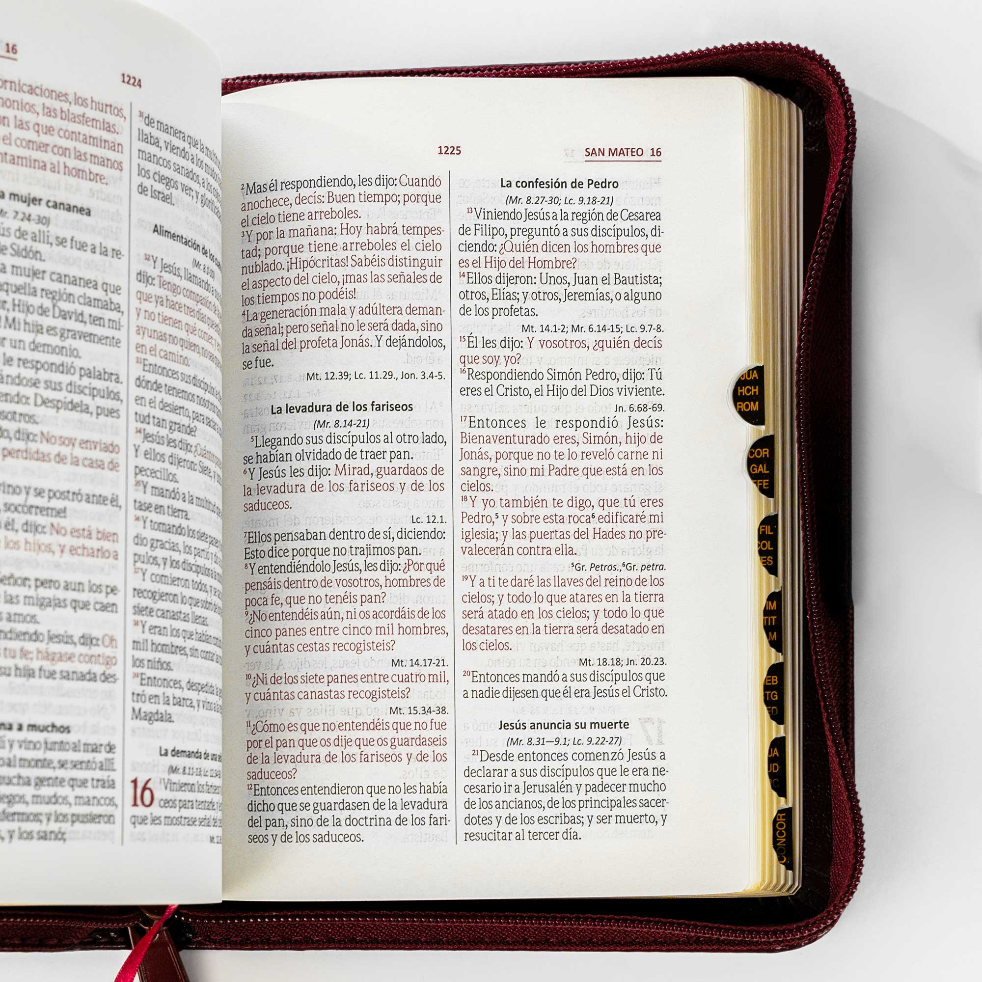Biblia tamaño y letra pequeña vinotinto - Image 5