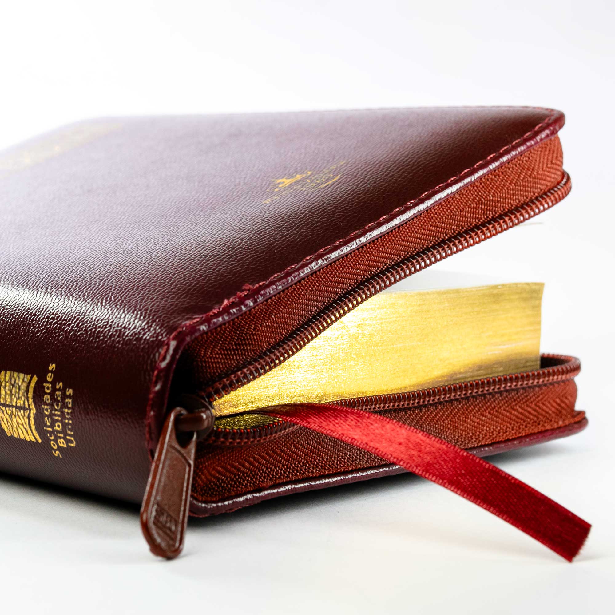 Biblia tamaño y letra pequeña vinotinto - Image 6