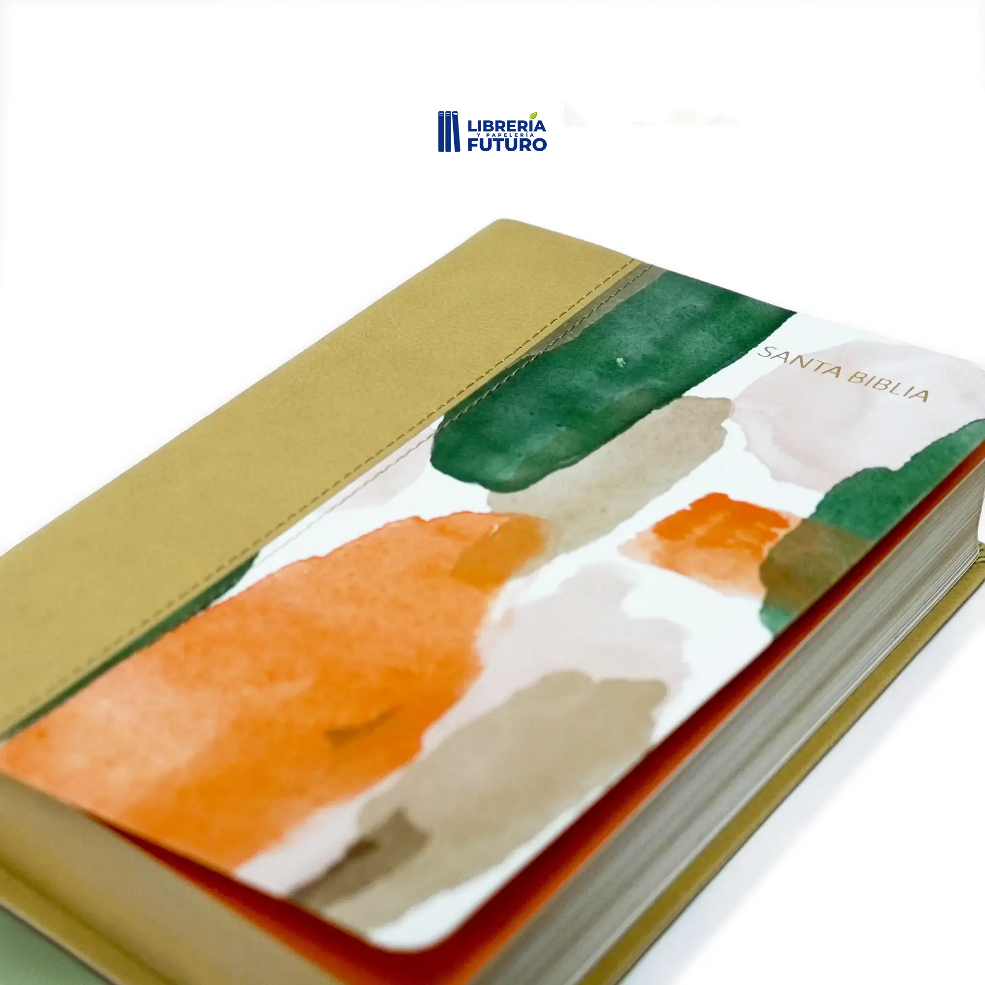 Biblia mediana Holman multicolor - Image 4