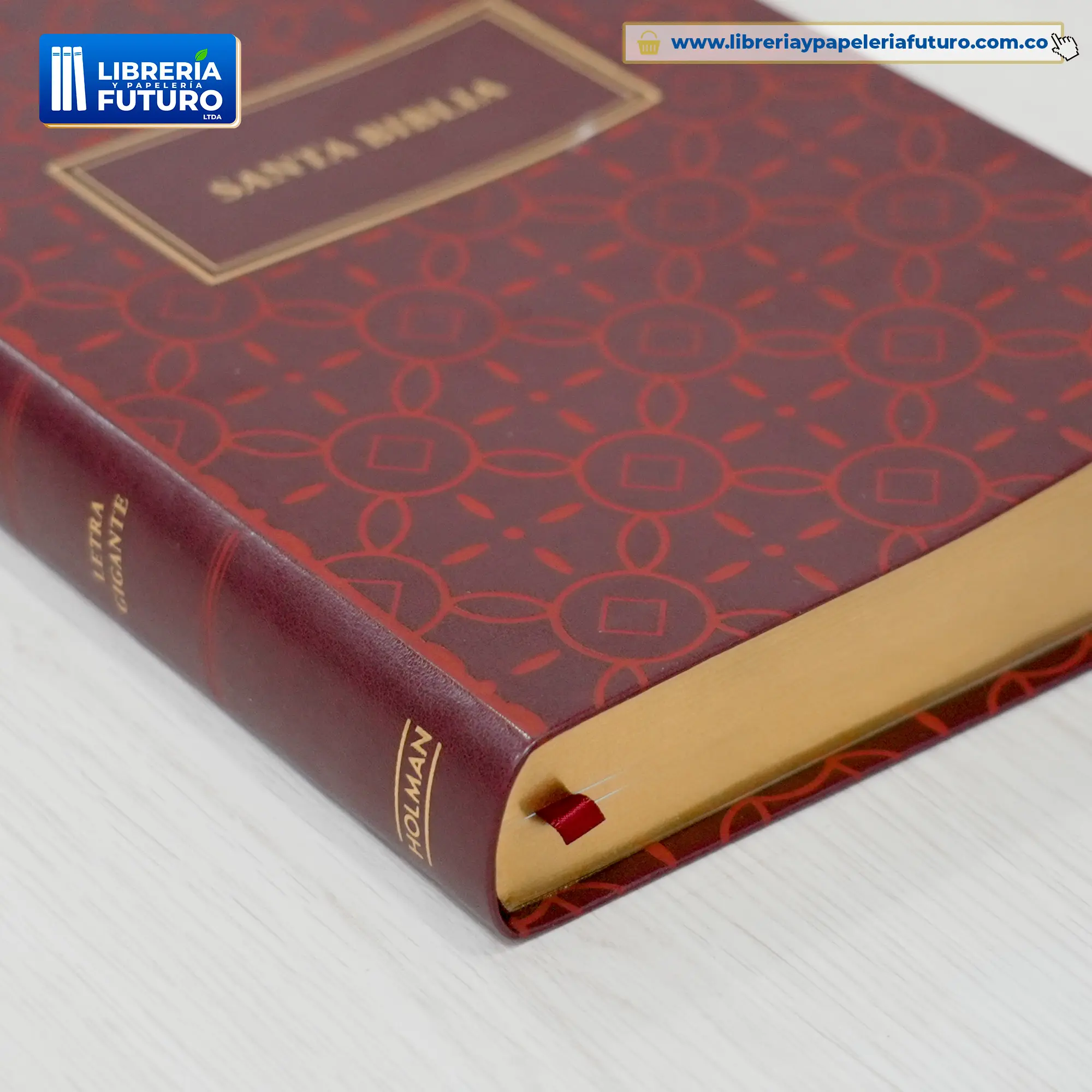 Biblia grande Holman terracota - Image 6